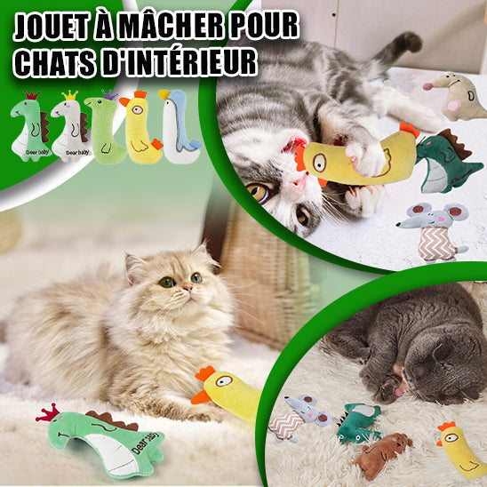 peluche-pour-chat-douceur