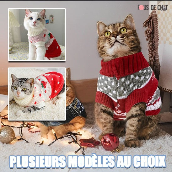 pull-de-noel-chat-confortable