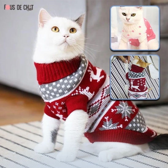 pull-de-noel-chat-couleur