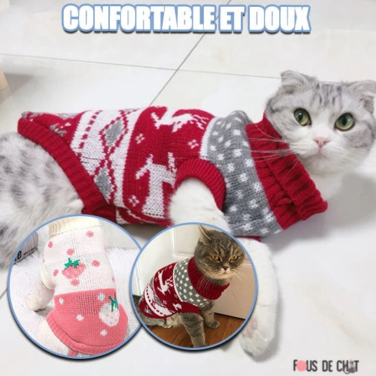 pull-de-noel-chat-doux