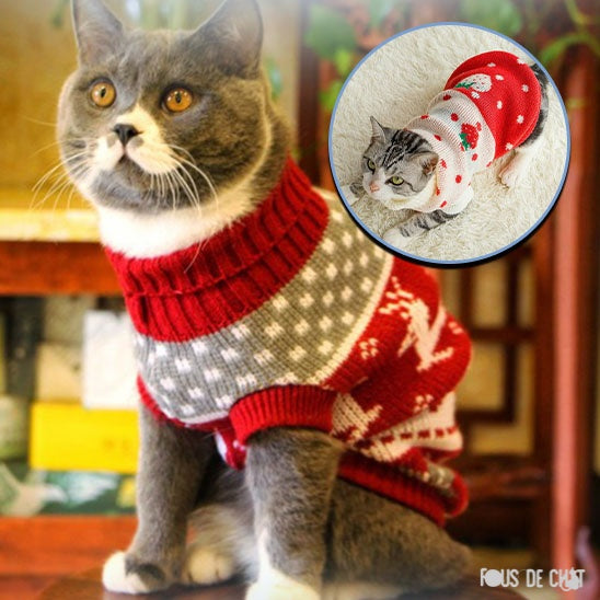 pull-de-noel-chat-fete