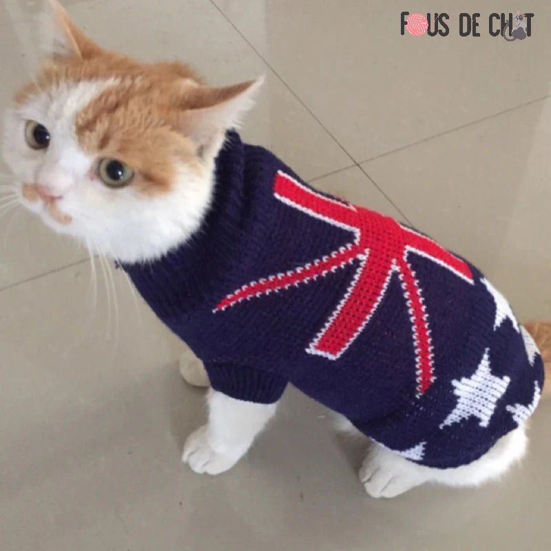 pull-de-noel-chat-hiver