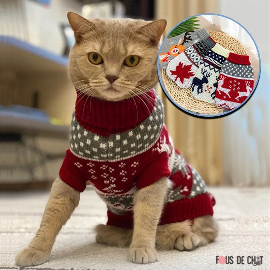 pull-de-noel-chat-style