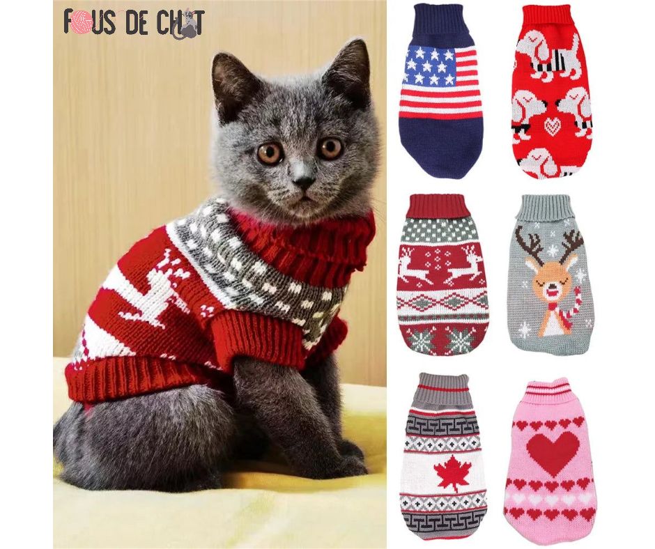 pull-de-noel-chat