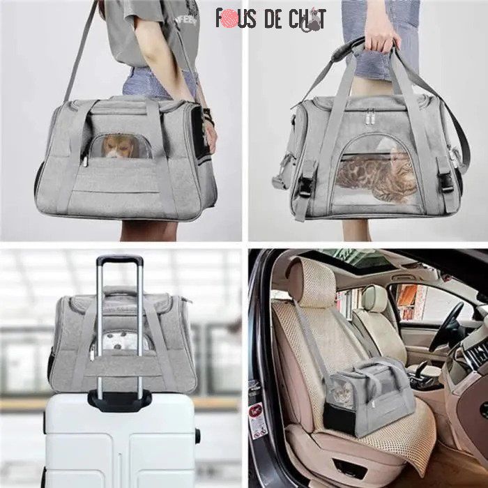 sac-de-transport-pour-chat-activites