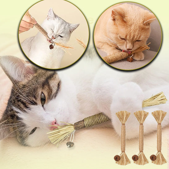 stick-chat-anti-stress