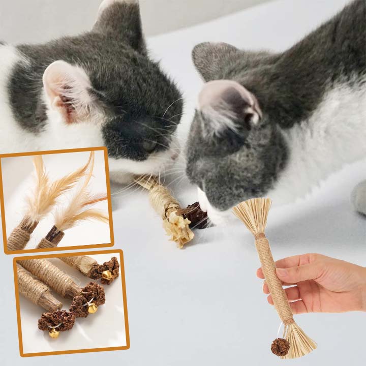 stick-chat-mastication