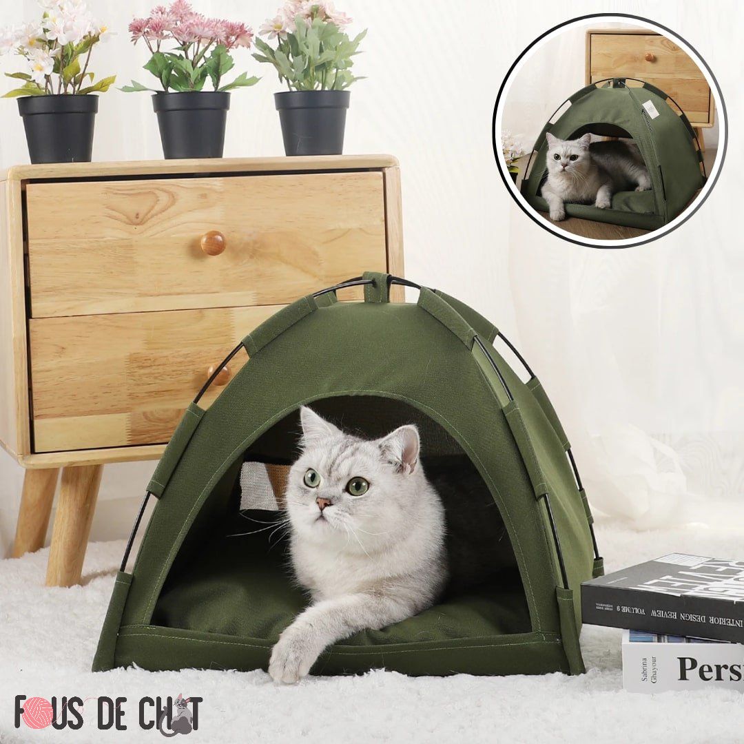 tente-pour-chat-aventure